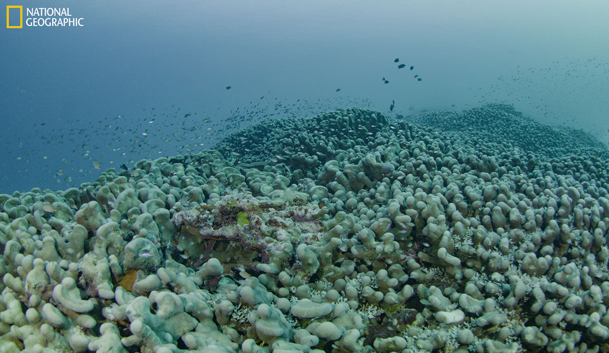 Photo: National Geographic