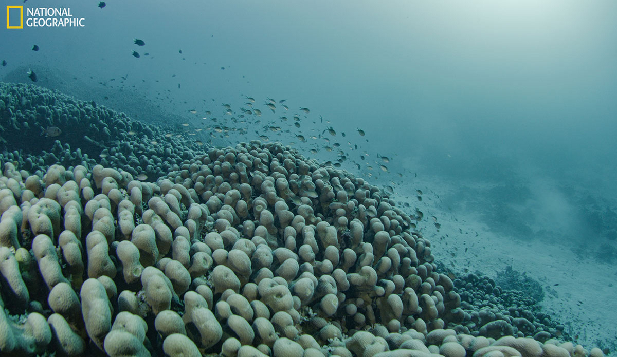 Photo: National Geographic