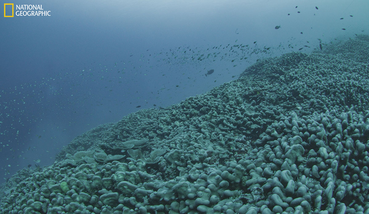 Photo: National Geographic