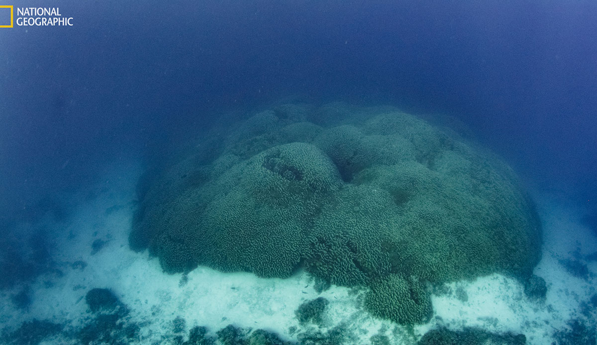 Photo: National Geographic