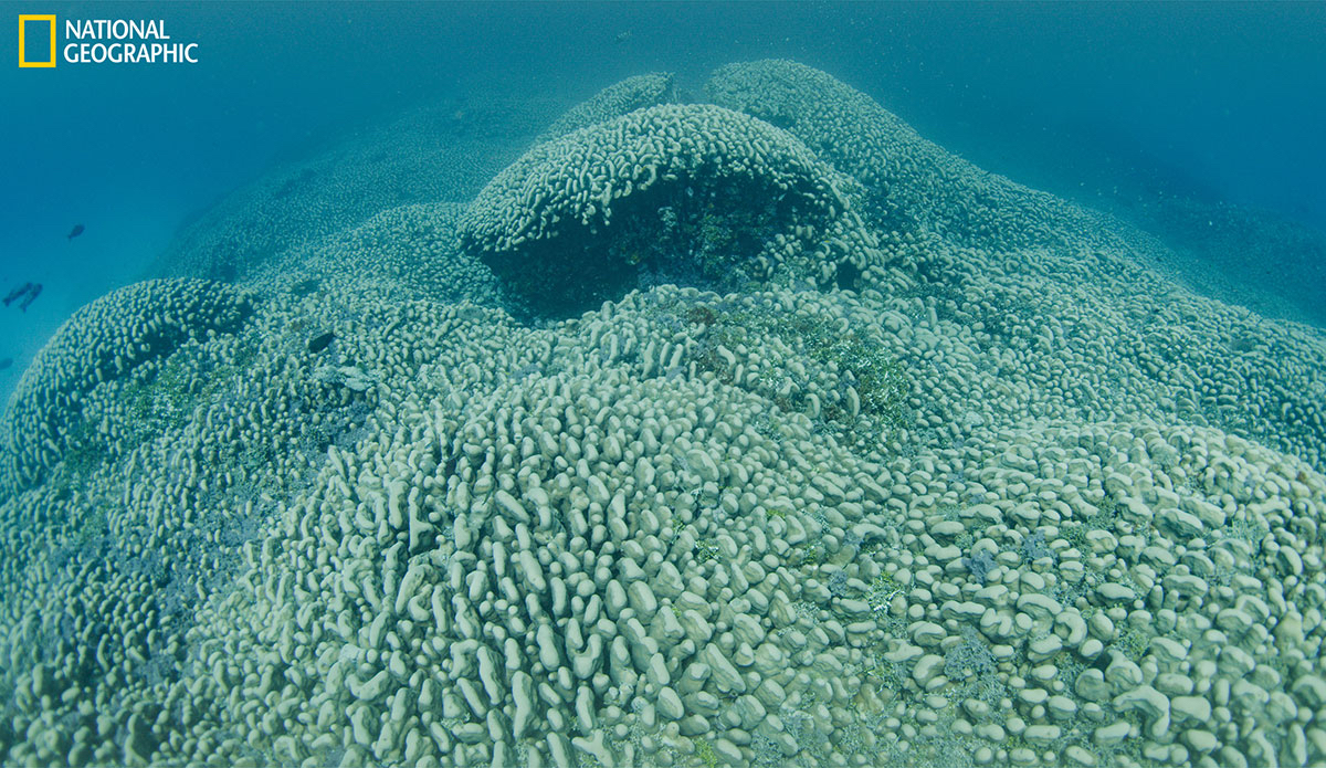 Photo: National Geographic