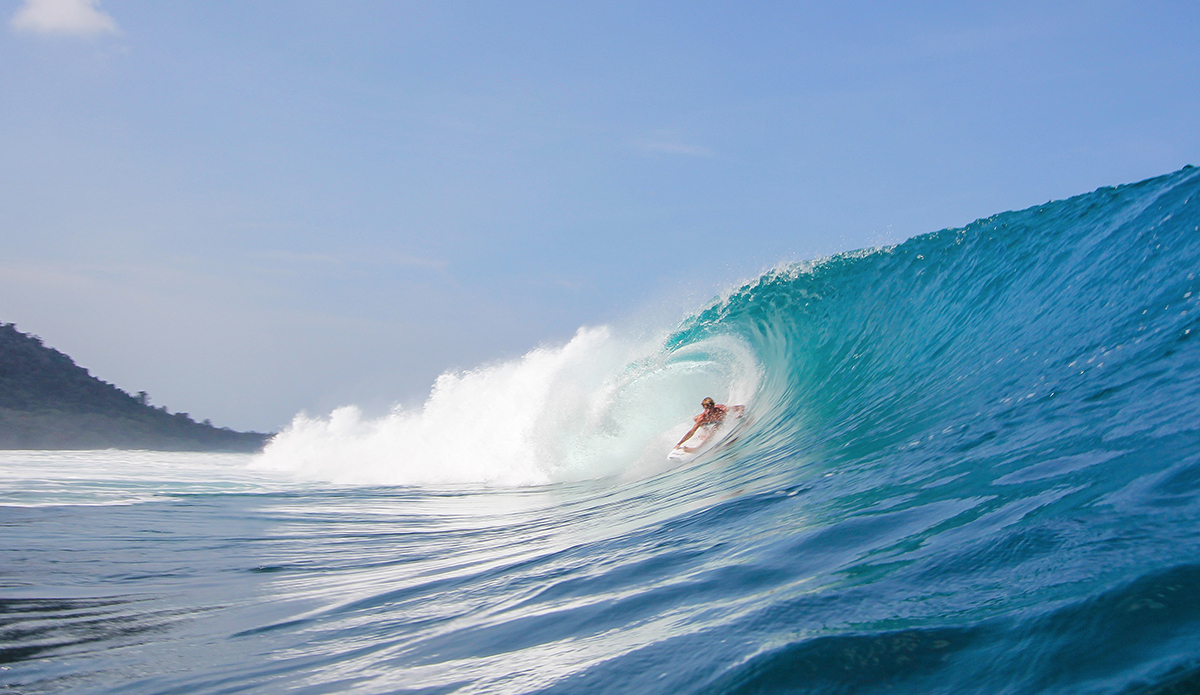 Photo: <a href=\"https://www.insectoart.com\">Carlos Palacios</a>