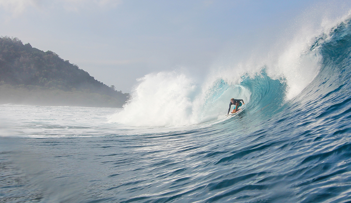 Photo: <a href=\"https://www.insectoart.com\">Carlos Palacios</a>