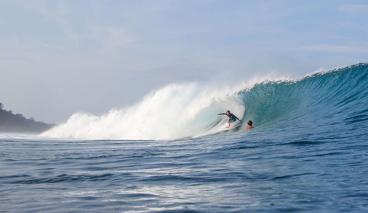 Photo: <a href=\"https://www.insectoart.com\">Carlos Palacios</a>