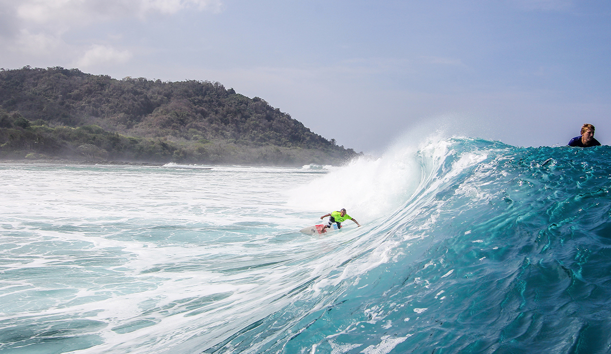 Photo: <a href=\"https://www.insectoart.com\">Carlos Palacios</a>