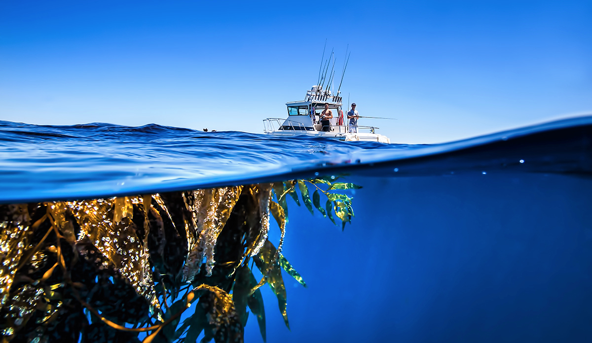 Iconic paddy fishing in SoCal. We did very well. Photo: <a href=\"https://craiglarsonimaging.com/\">Craig Larson</a>