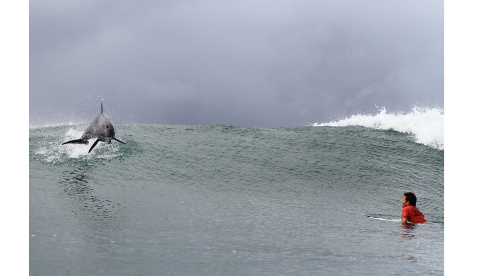 Dolphin moment. Photo: <a href=\"https://www.craigparry.com.au\">Craig Parry</a>
