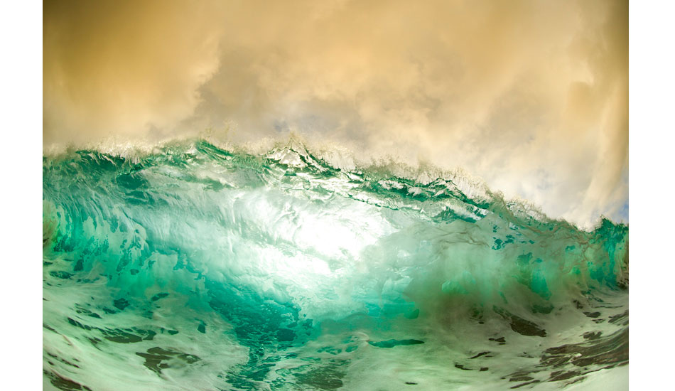 Backlight. Photo: <a href=\"https://www.craigparry.com.au\">Craig Parry</a>