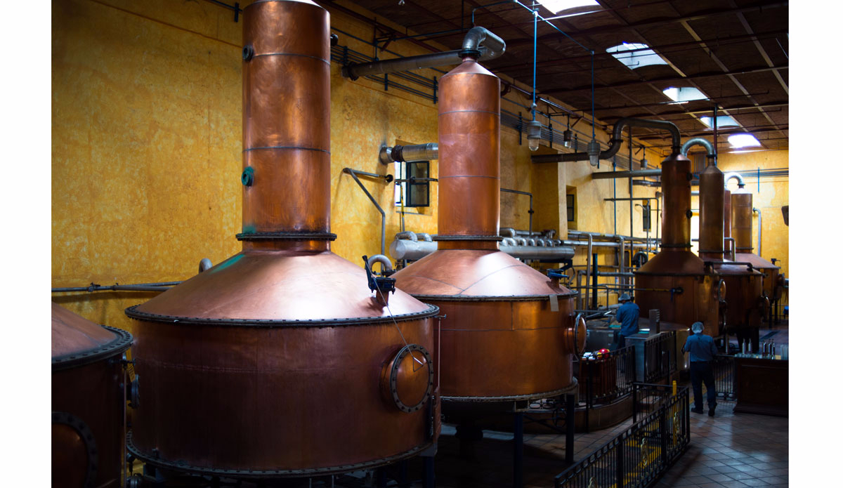 Once the pinas are chopped, they are brought to the distillery where they are baked for 36 hours.  The whole process of making tequila from the fields to the bottle takes less than three days. This tour was an experience I will hold close to my heart forever and am extremely grateful to have had the fortune of being a part of it. Photo: Peterson