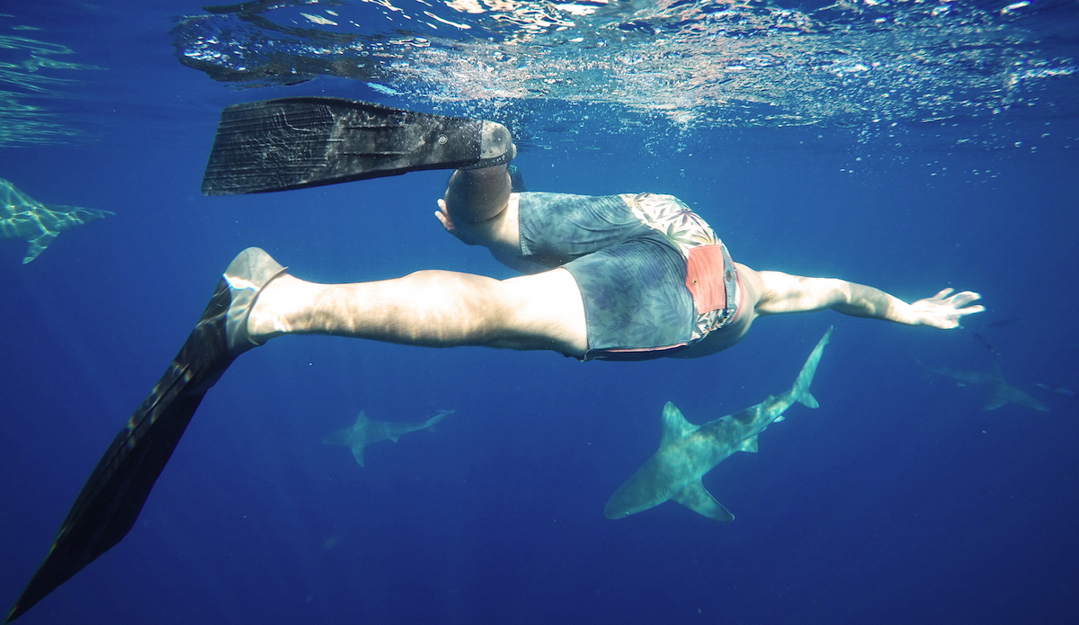 Photo: <a href=\"https://danlemaitrephoto.com/\"> Dan Lemaitre</a>