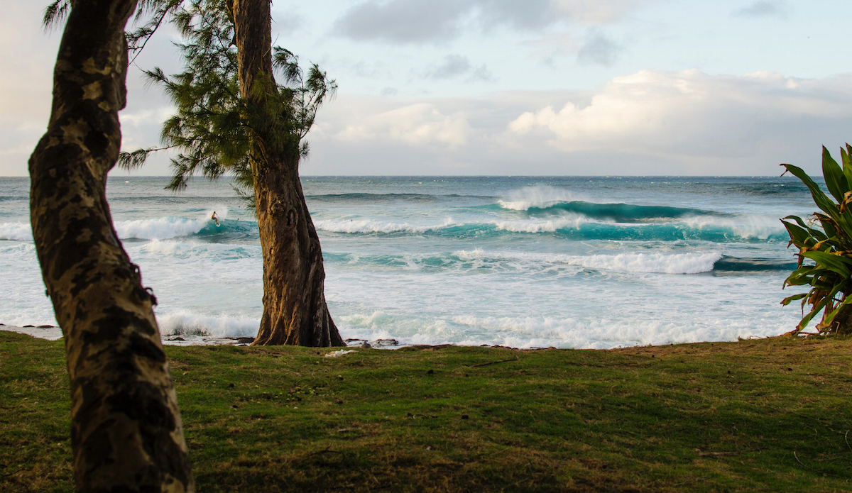 No worries. Photo: <a href=\"https://danlemaitrephoto.com/\"> Dan Lemaitre</a>