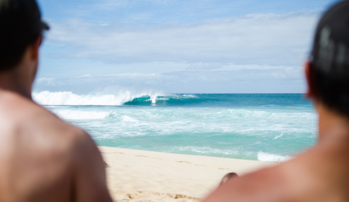 Sunshine. Photo: <a href=\"https://danlemaitrephoto.com/\"> Dan Lemaitre</a>