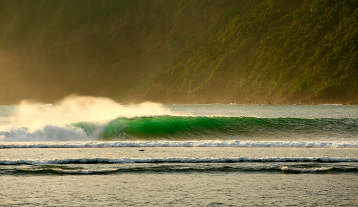 Indonesia reeler. Photo: <a href=\"https://www.danegrady.com/#s=0&mi=1&pt=0&pi=1&p=-1&a=0&at=0\"> Dane Grady</a>