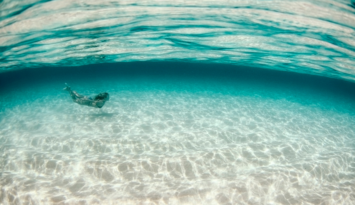 Mermaid. Photo: <a href=\"https://www.danegrady.com/#s=0&mi=1&pt=0&pi=1&p=-1&a=0&at=0\"> Dane Grady</a>