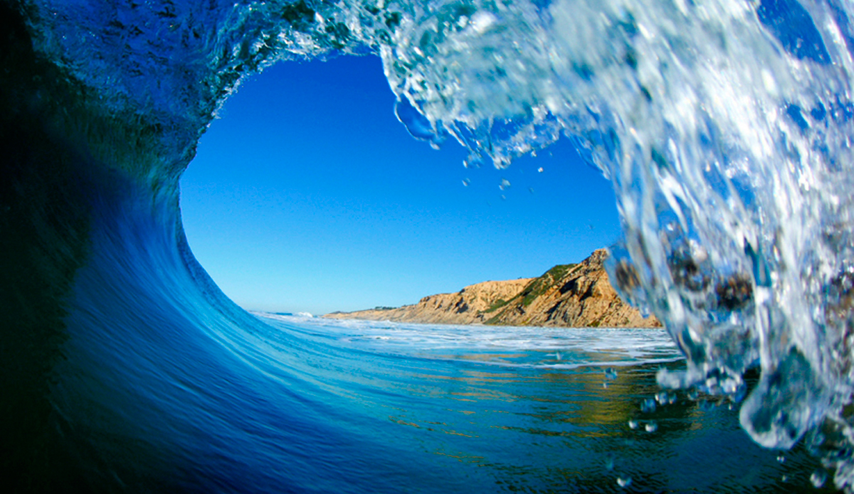 California Blues. Photo: <a href=\"https://www.danegrady.com/#s=0&mi=1&pt=0&pi=1&p=-1&a=0&at=0\"> Dane Grady</a>