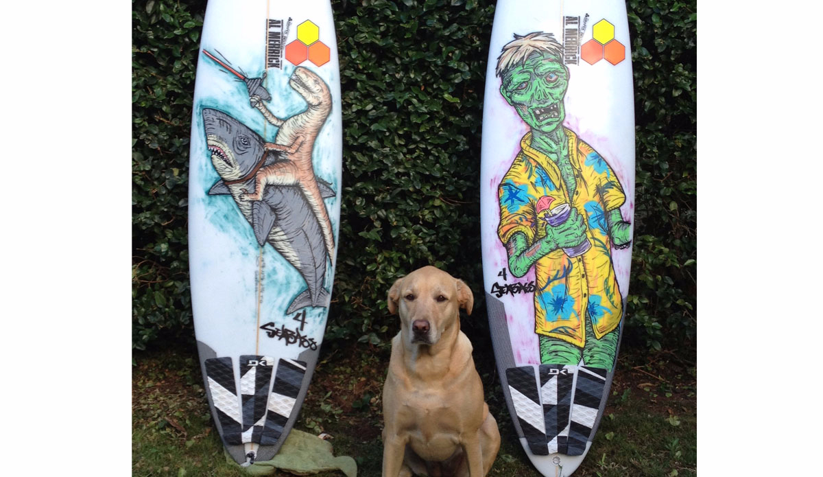 A few boards for Sebastian Zietz for the 2014 Pipe Masters.Illustration: <a href=\"https://instagram.com/dcasted\">@Dcasted</a>