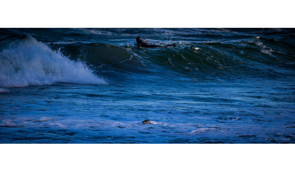 Photo: <a href=\"https://www.facebook.com/ripandsnap\" target=_blank>Mark Wengler</a>