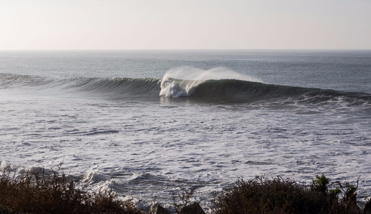 Photo: <a href=\"https://instagram.com/danny_nieves\" target=\"_blank\">Danny Nieves</a>