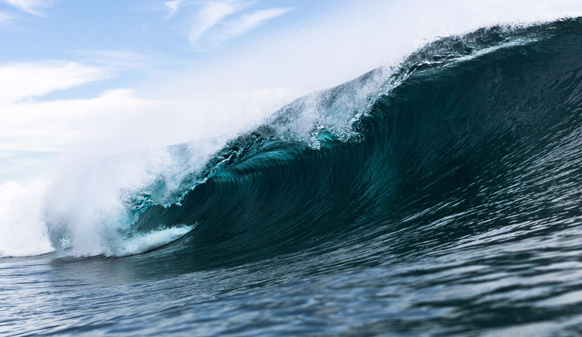 Photo: <a href=\"https://instagram.com/danny_nieves\" target=\"_blank\">Danny Nieves</a>