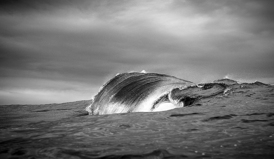 Closure. Photo: <a href=\"https://www.warrenkeelanphotography.com.au/\" target=_blank>Warren Keelan</a>.