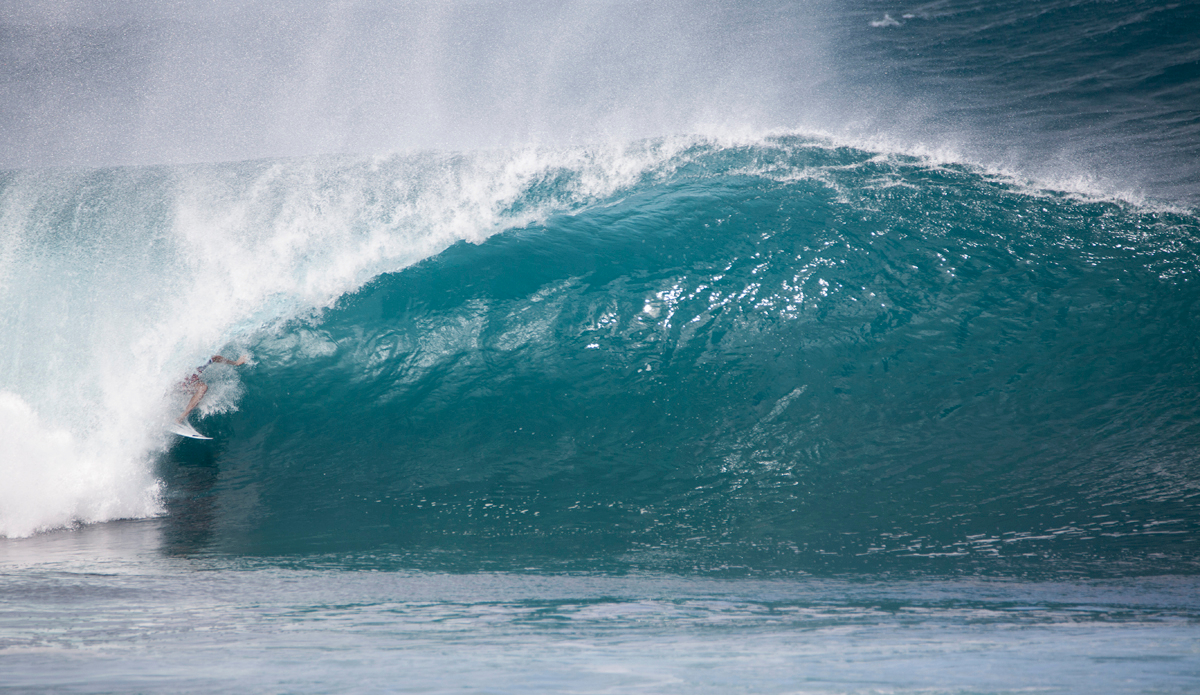 Seabass hidden from view. Photo: Shannon Marie Quirk @shannonreporting