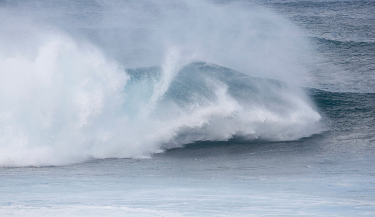 The SPIT! Photo: Shannon Marie Quirk @shannonreporting