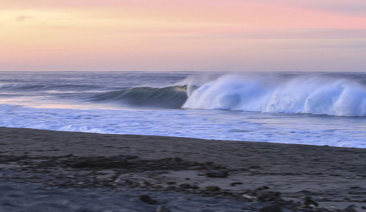 Photo: Daniela Caram