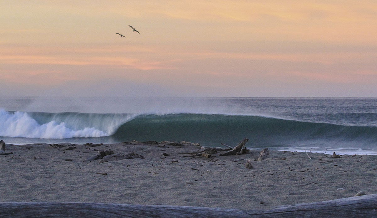 Photo: Daniela Caram