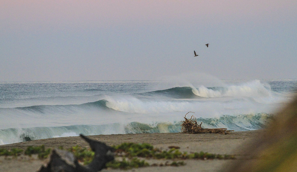 Photo: Daniela Caram