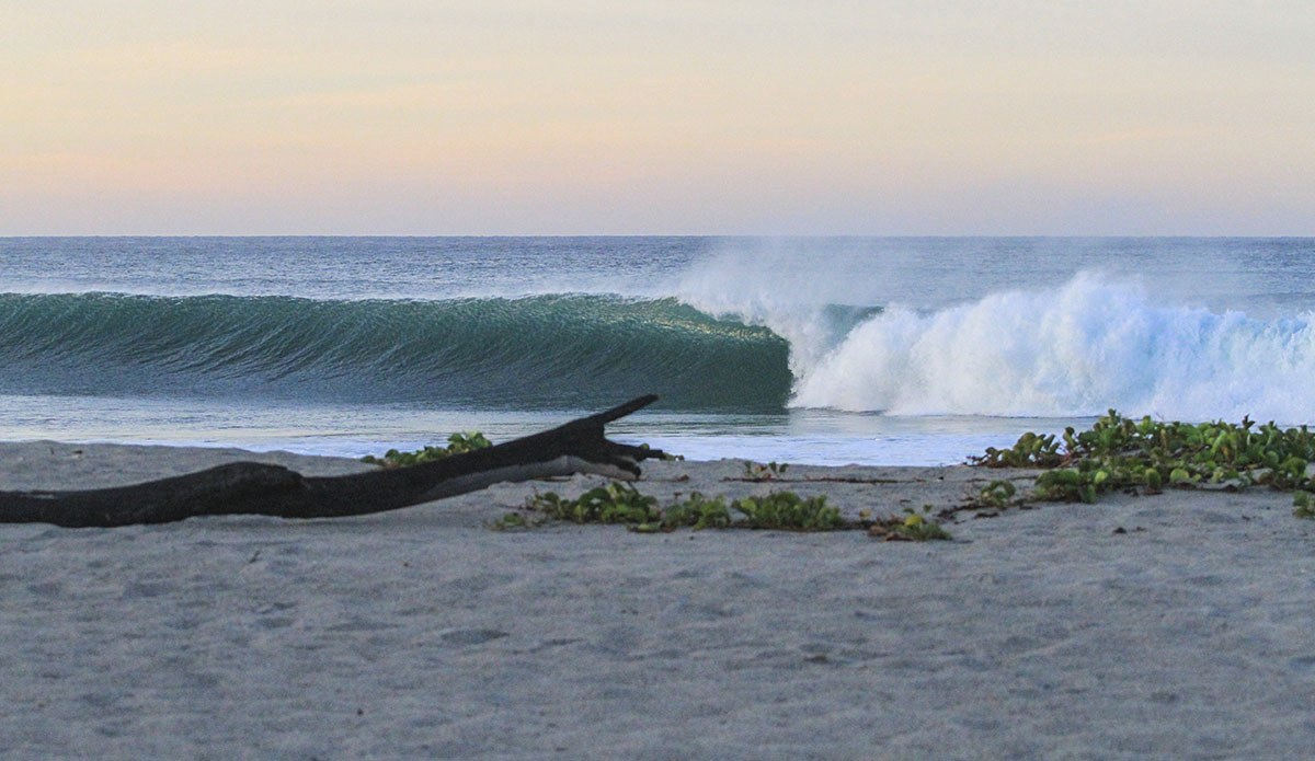 Photo: Daniela Caram