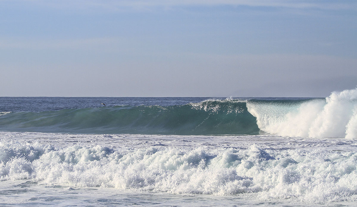 Photo: Daniela Caram