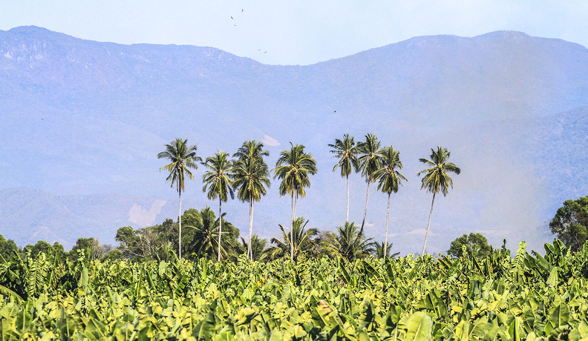 Photo: Daniela Caram