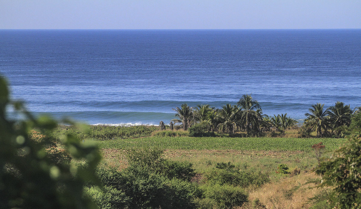 Photo: Daniela Caram