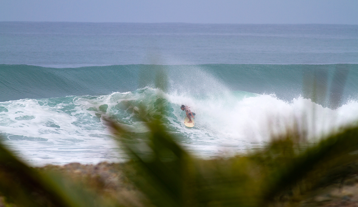 Photo: Daniela Caram