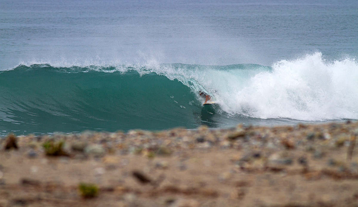 Photo: Daniela Caram