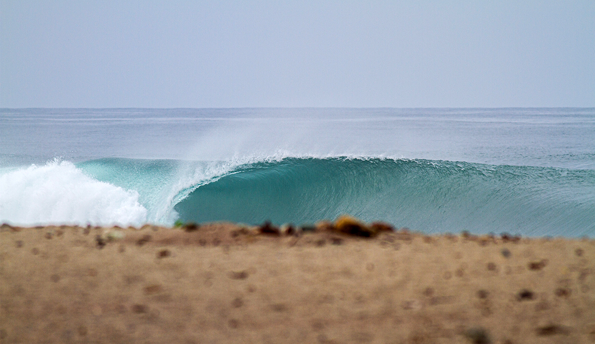 Photo: Daniela Caram