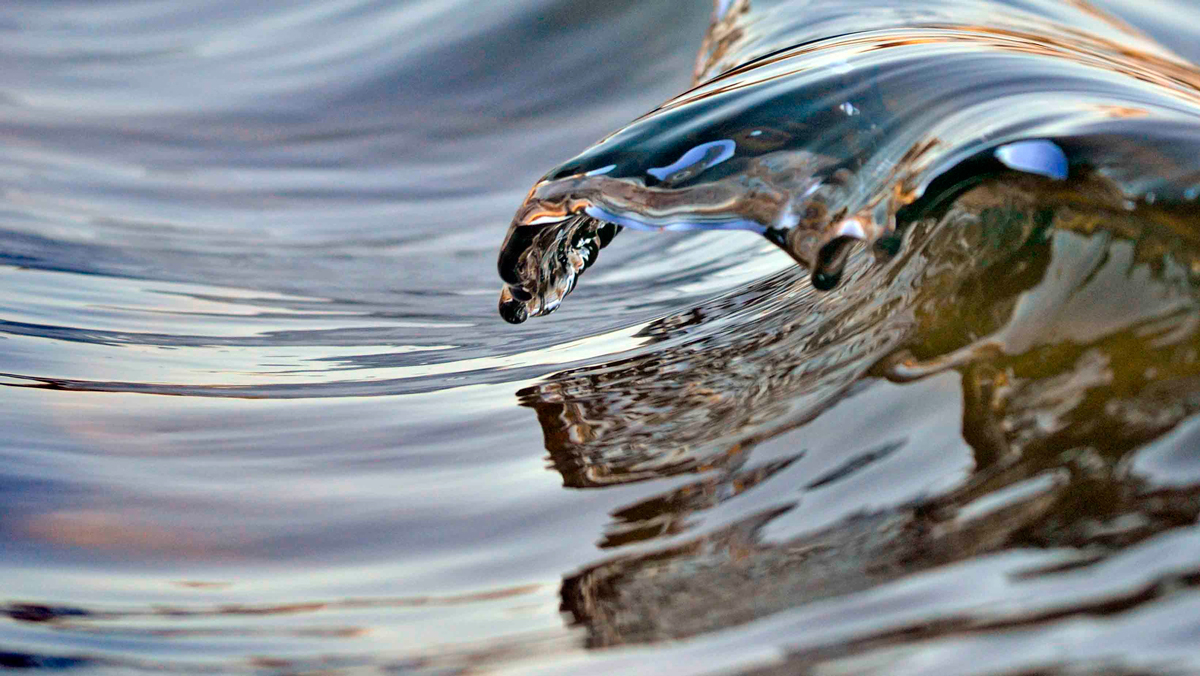 The conditions were perfect, not a whisper of wind. The shorebreakers were tiny in size,almost lacking form but fortunately this creature arose from the sea before reconnecting from where he came..  Photo: <a href=\"https://debmwaveart.webs.com/\">Deb Morris</a>