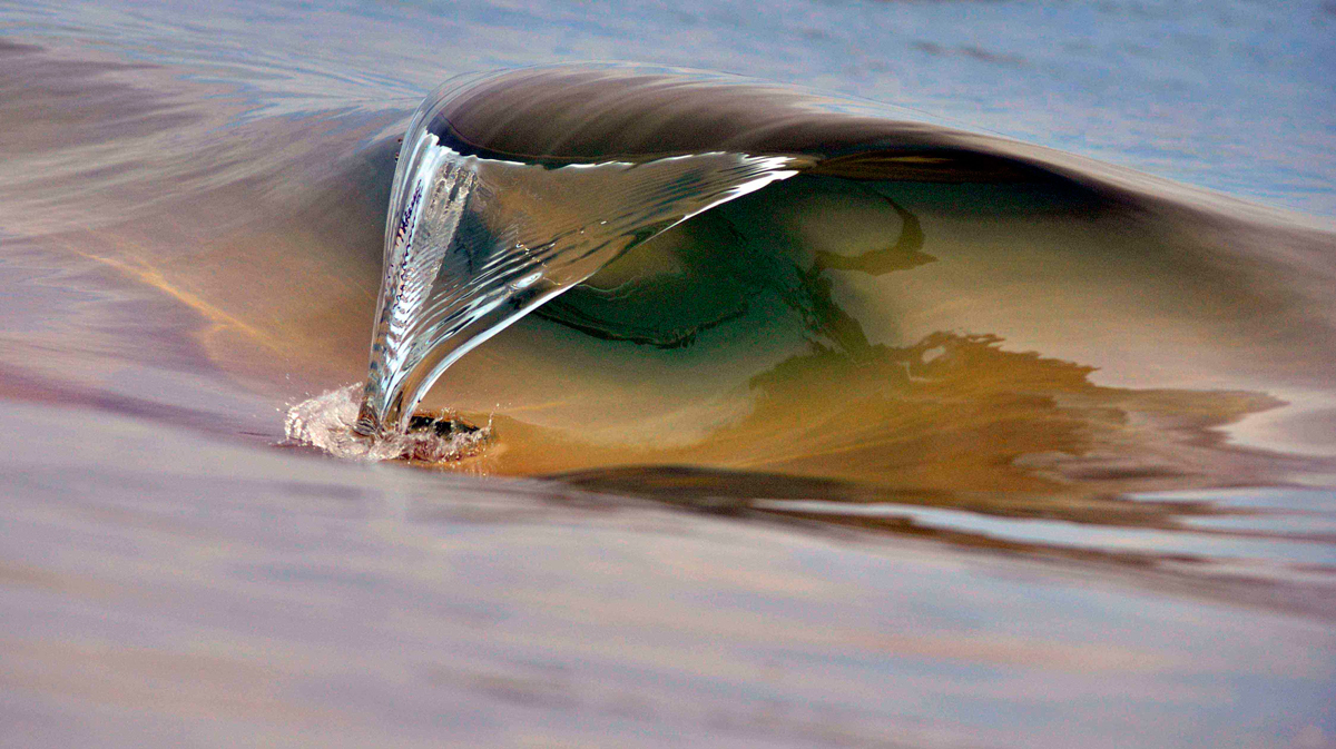 Elegance caught in a gentle moment. Photo: <a href=\"https://debmwaveart.webs.com/\">Deb Morris</a>