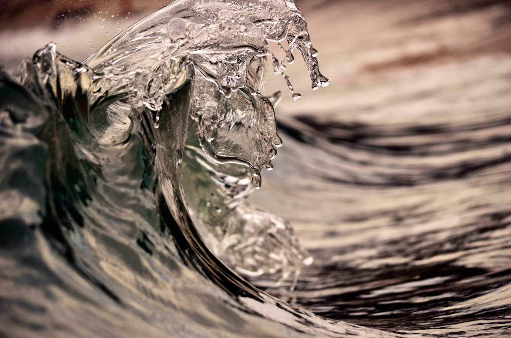 On many occassions I see \"creatures\" in my images as I do this one. For me I see an Ant Eater on top of a pig. What do you see? Photo: <a href=\"https://debmwaveart.webs.com/\">Deb Morris</a>