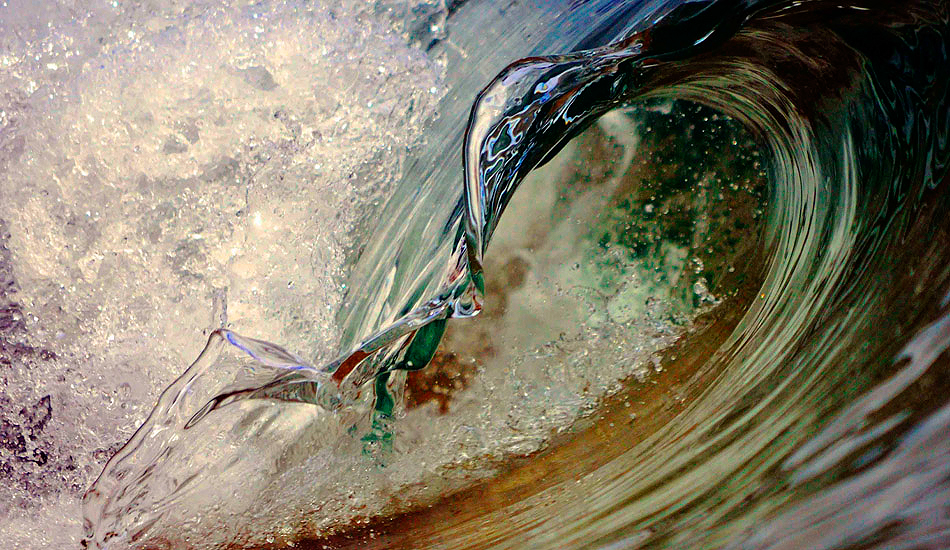 The perfect curl, the perfect colors. Just a shame it\'s 10cm in size. Photo: <a href=\"https://www.debmwaveart.webs.com/\" target=_blank>Deb Morris</a>.