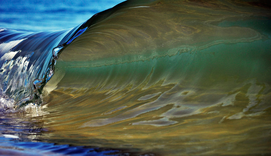 Four inches of tubular perfection. Photo: <a href=\"https://www.debmwaveart.webs.com/\" target=_blank>Deb Morris</a>.