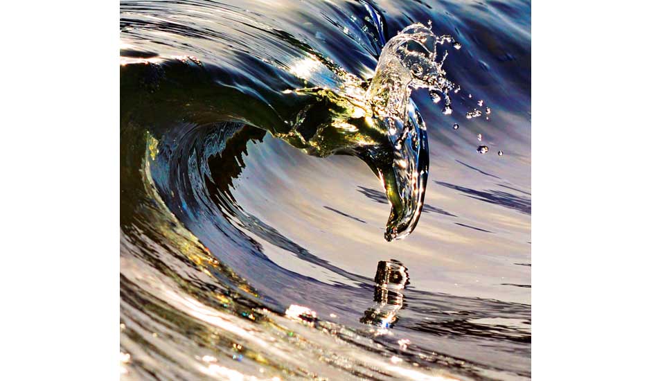 This is one of my earlier works. The illusion of the reflection is amazing. Can you see the turtle looking at the seal? Photo: <a href=\"https://www.debmwaveart.webs.com/\" target=_blank>Deb Morris</a>.