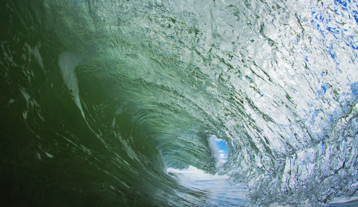 New Jersey Springtime doing its best Hawaii impersonation. Photo: <a href=\"https://www.hunterdenicolaphoto.com/\"> Hunter Denicola</a>