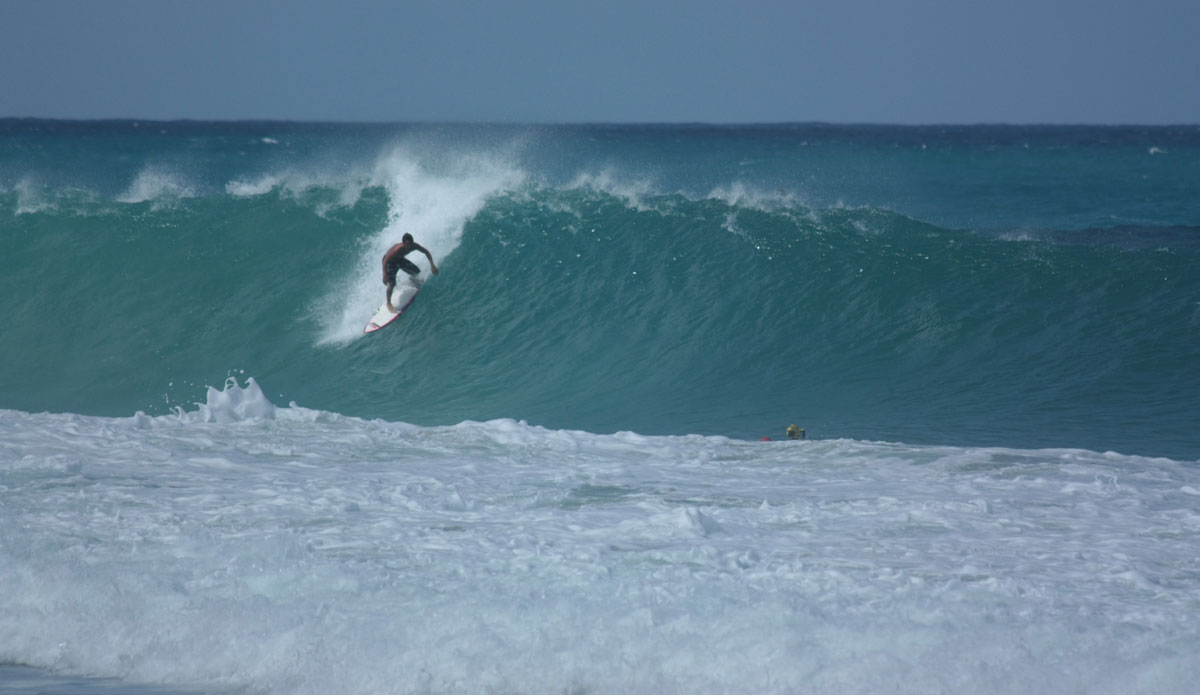 In about two seconds, this guy will only be visible to the camera man. Photo: <a href=\"https://www.waterwaystravel.com/\">  Waterways</a>