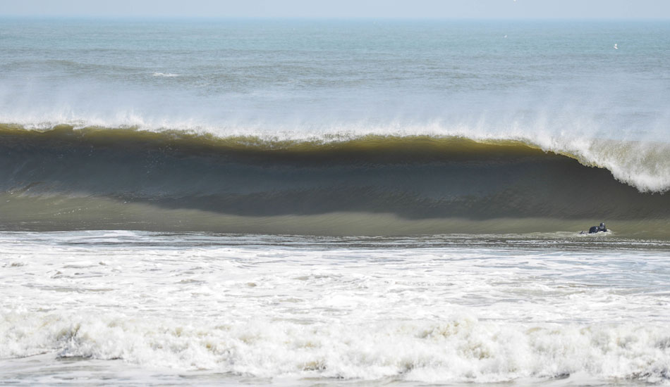 Unidentified but soon evaporated. Photo: <a href=\"https://domdentephoto.bigcartel.com/\">Dom Dente</a>