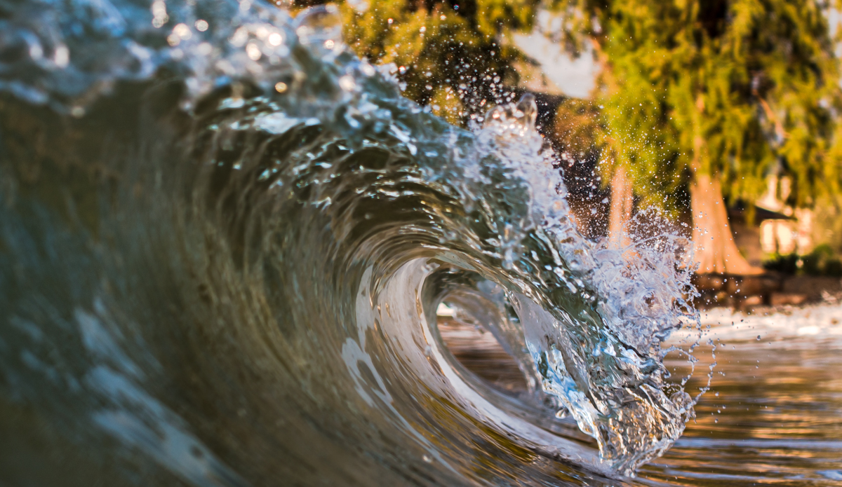 Tropical vibes. Photo: <a href=\"https://DonCooperPhotography.zenfolio.com\">Don Cooper</a>