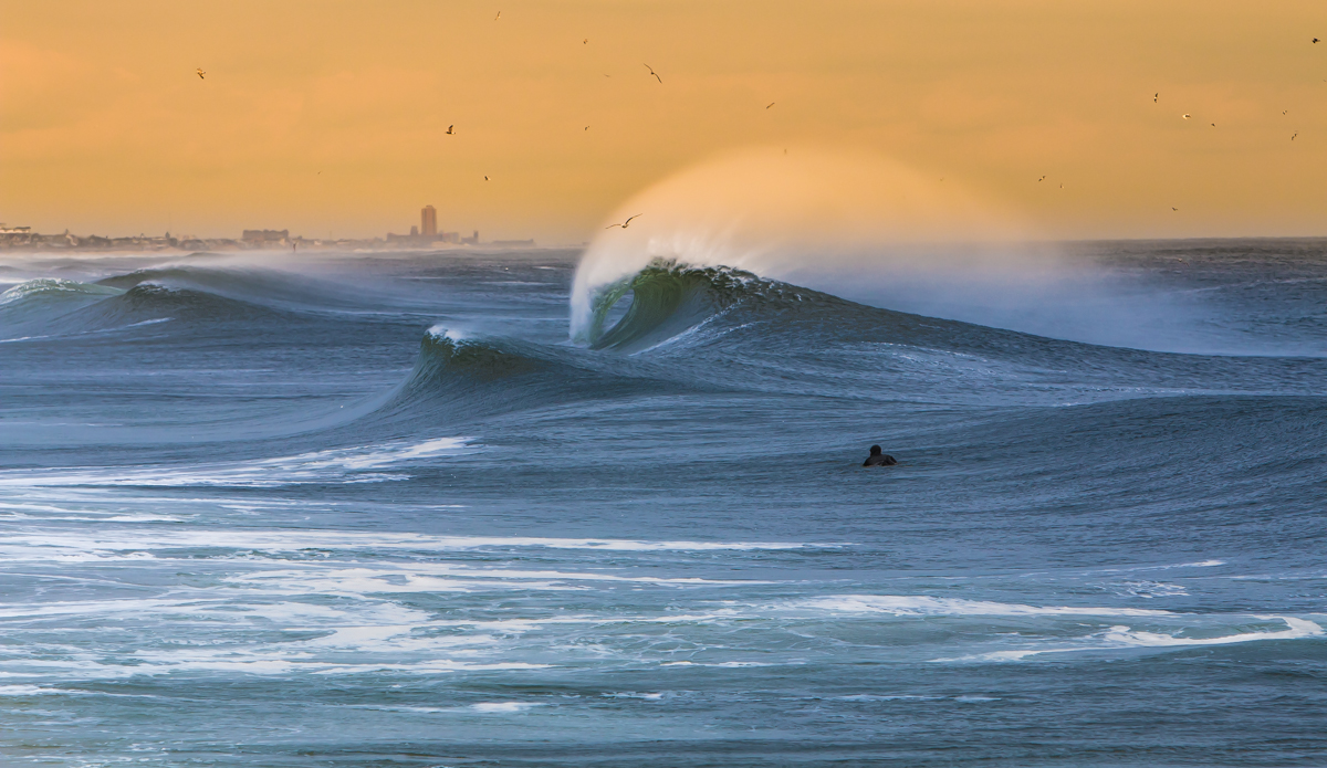 Perfection. Photo: <a href=\"https://DonCooperPhotography.zenfolio.com\">Don Cooper</a>