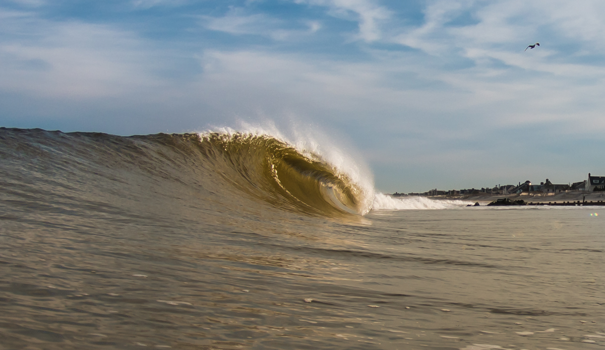 Nobody home. Photo: <a href=\"https://DonCooperPhotography.zenfolio.com\">Don Cooper</a>