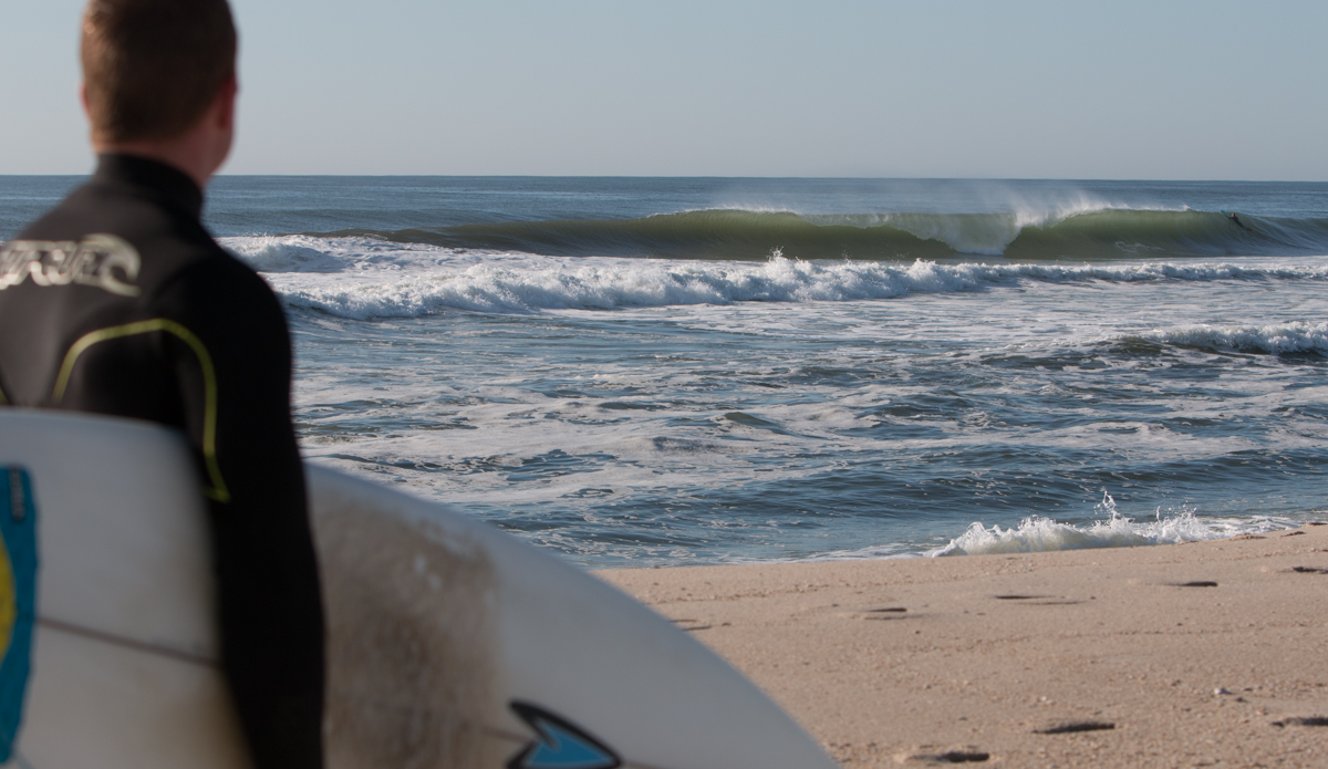 Second guessing leaving. Photo: <a href=\"https://DonCooperPhotography.zenfolio.com\">Don Cooper</a>