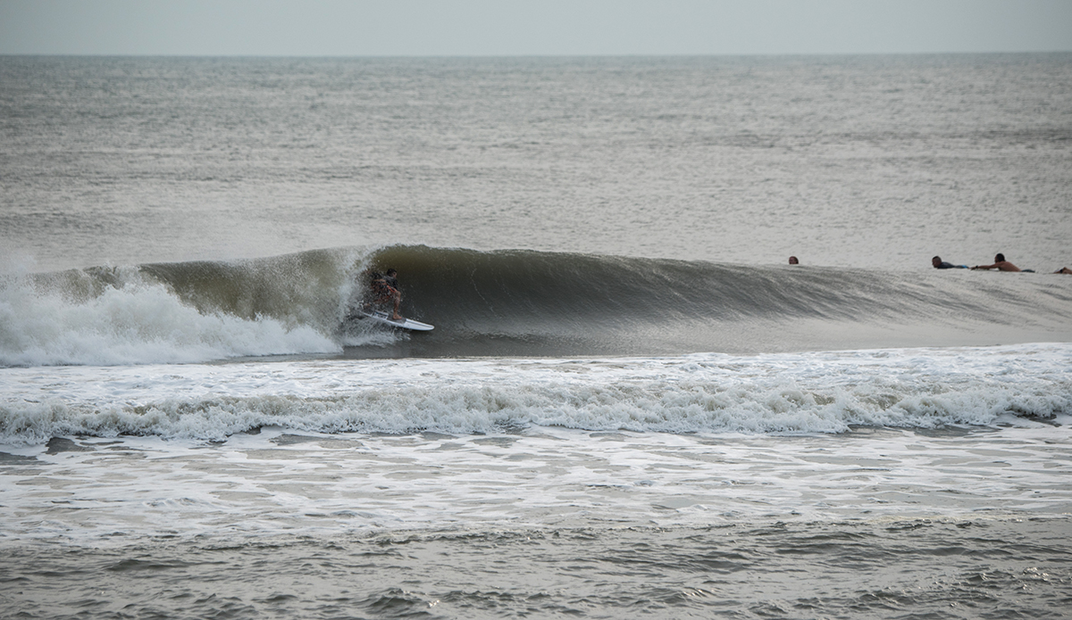 Photo: Andreea Waters